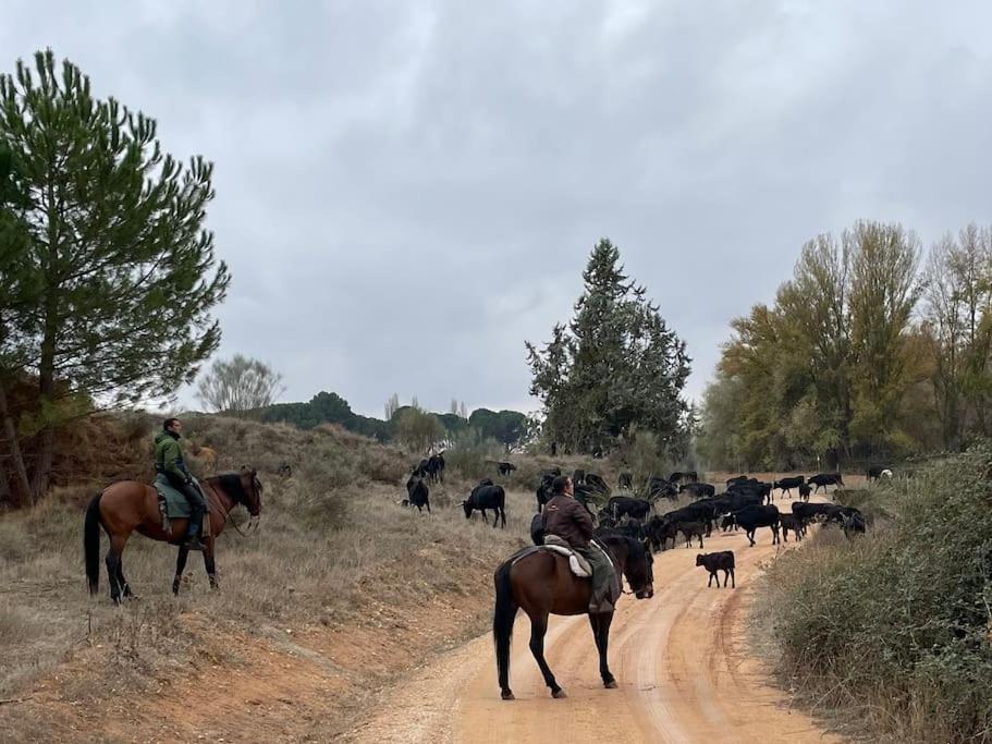 Casa Rural Berta El Picazo Ngoại thất bức ảnh
