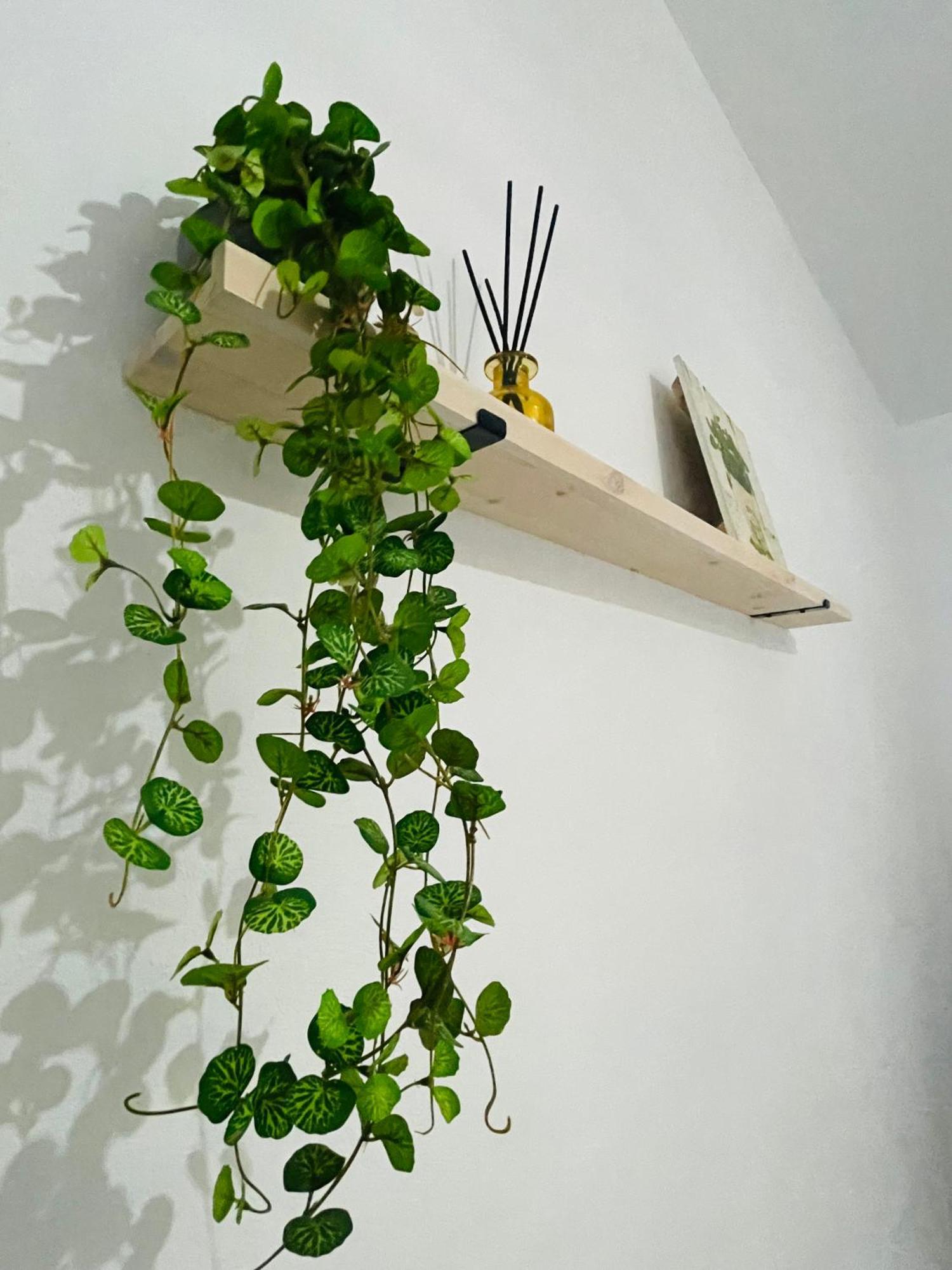 Casa Rural Berta El Picazo Ngoại thất bức ảnh